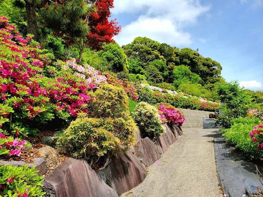 樹木葬・自然葬の高照寺