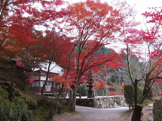 神峯山寺 開成院霊園