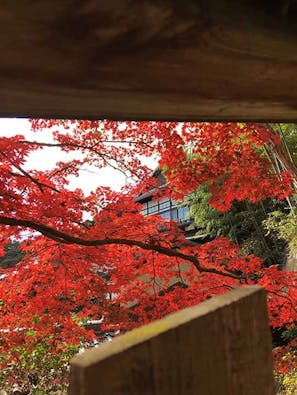 神峯山寺 開成院霊園