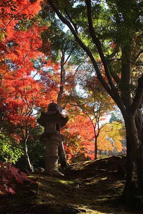 神峯山寺 開成院霊園