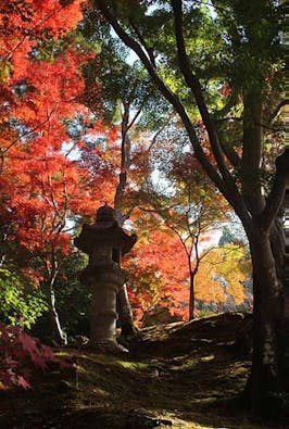 神峯山寺 開成院霊園