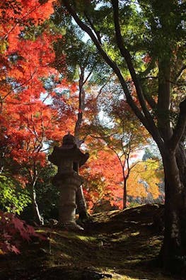 神峯山寺 開成院霊園