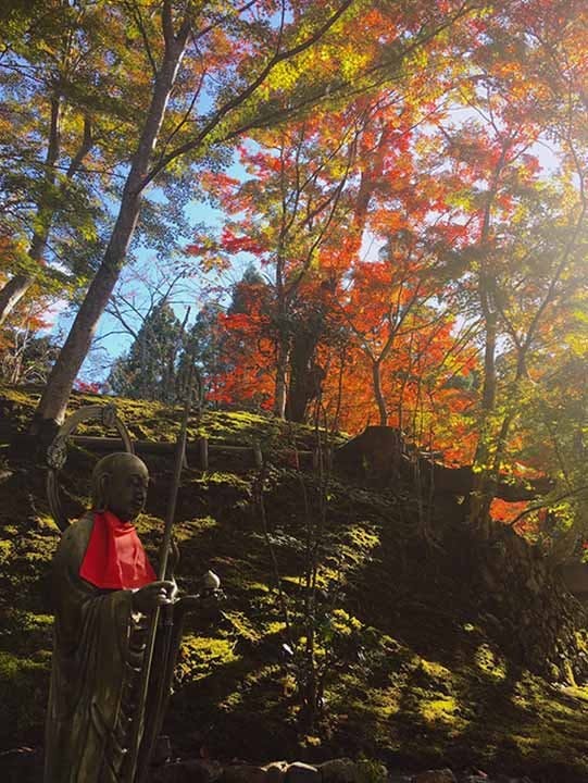 神峯山寺 開成院霊園