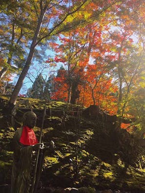 神峯山寺 開成院霊園