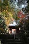 神峯山寺 開成院霊園 境内の紅葉