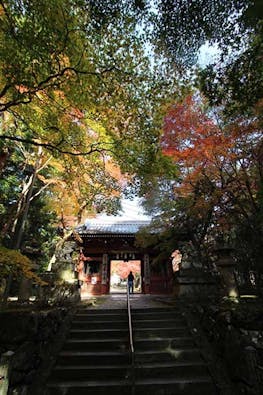 神峯山寺 開成院霊園