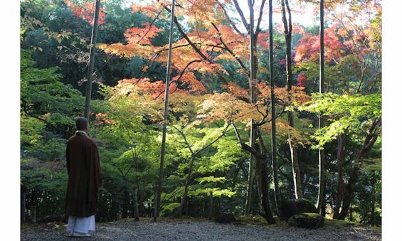 神峯山寺 開成院霊園