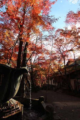 神峯山寺 開成院霊園