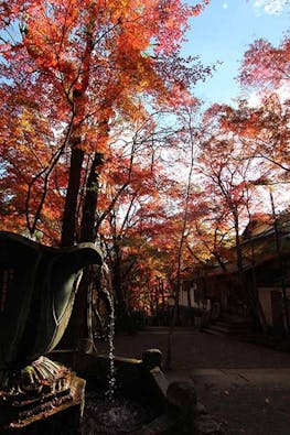 神峯山寺 開成院霊園