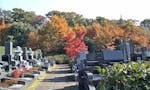 緑山霊園 合掌の杜 紅葉に彩られる秋の緑山霊園