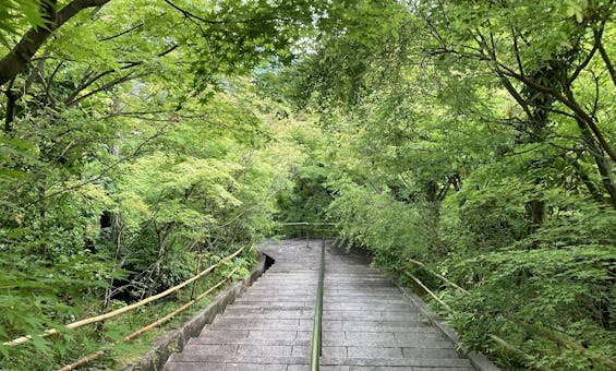 西應寺墓苑 もみじの丘