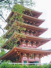 高幡不動尊金剛寺の画像
