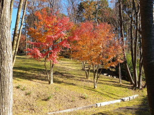 市原南霊園