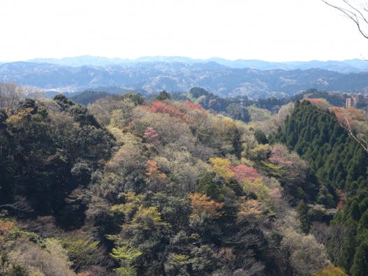 市原南霊園