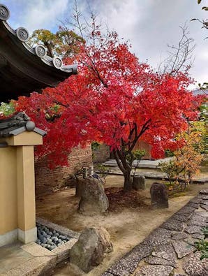徳泉寺墓苑 (一般墓・永代供養墓)