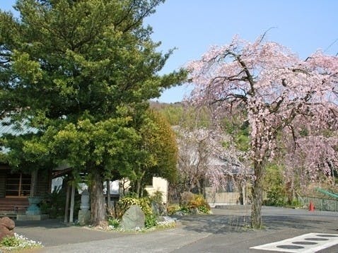 曽我梅林霊園 第Ⅱ期