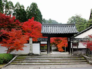 酬恩庵 一休寺