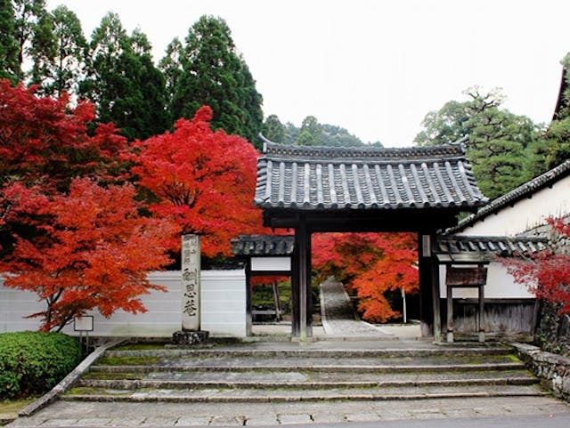 酬恩庵 一休寺