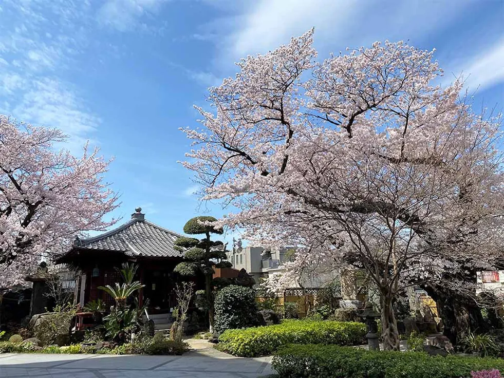安養院 ひかり陵苑 ひかりの園(品川区)の納骨堂