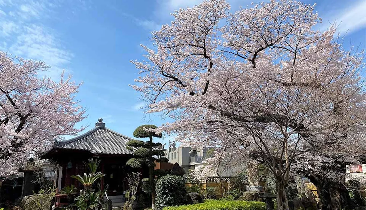 安養院 ひかり陵苑 ひかりの園(品川区)の納骨堂