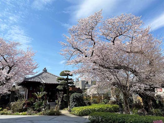 安養院 ひかり陵苑 ひかりの園