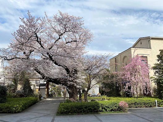 安養院 ひかり陵苑 ひかりの園
