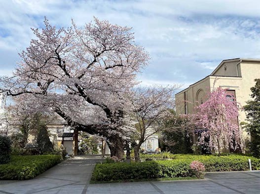 安養院 ひかり陵苑 ひかりの園