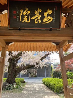 安養院 ひかり陵苑 ひかりの園