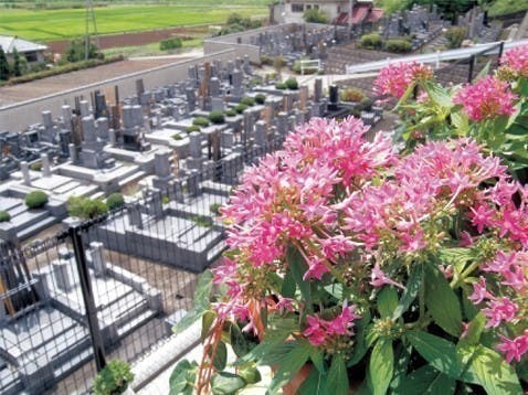 秋川観音墓苑の画像