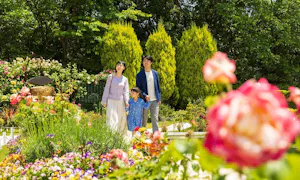 ふれあいの杜 天空(大東市)の永代供養墓