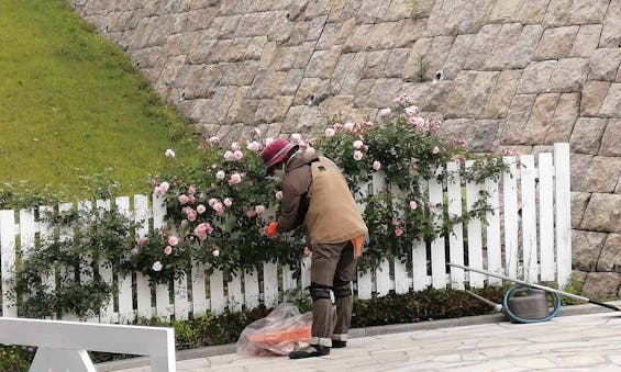 ふれあいの杜 天空