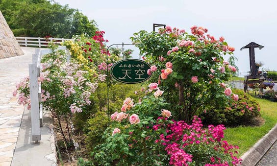 ふれあいの杜 天空