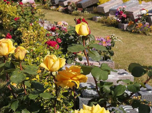 ふれあいの杜 天空