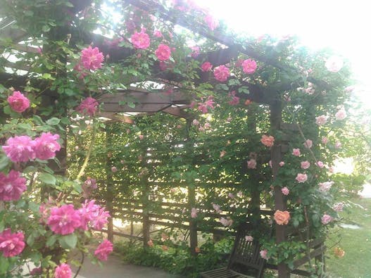 ふれあいの杜 天空