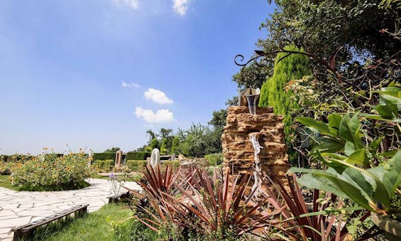 ふれあいの杜 天空