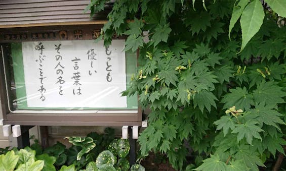 光源寺 永代供養墓 倶会一処「無量寿の墓」