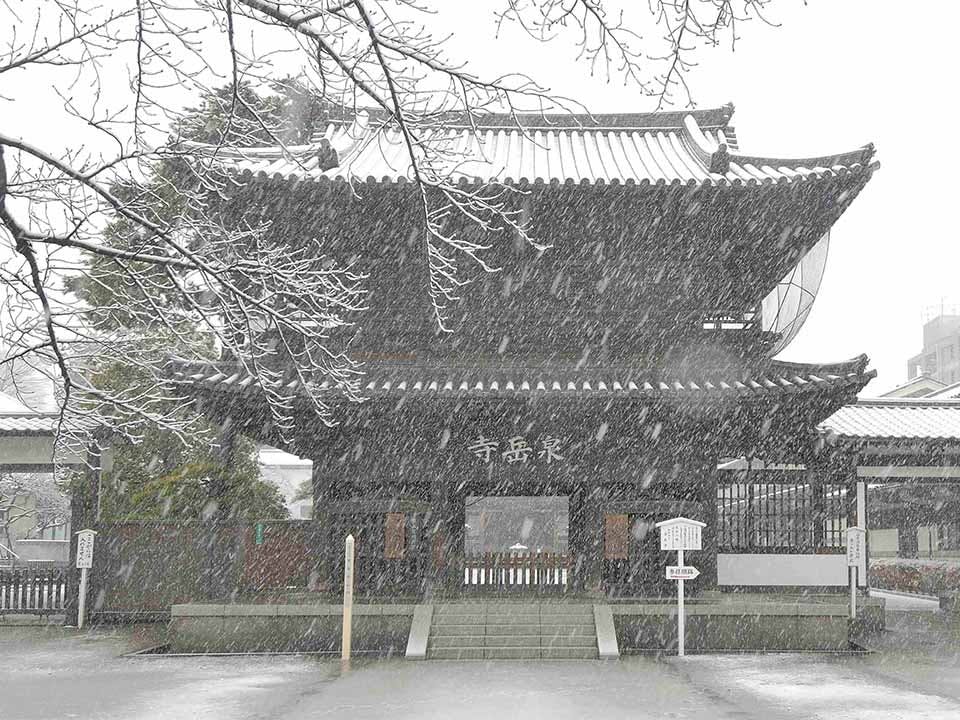 泉岳寺(東京都港区)の概要・価格・アクセス｜東京の霊園.com｜【無料