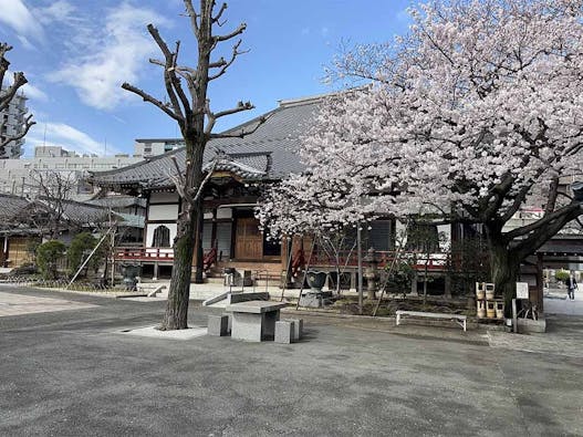 天妙国寺 永代供養納骨堂 鳳凰堂