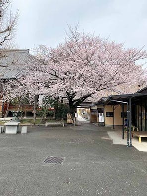 天妙国寺 永代供養納骨堂 鳳凰堂