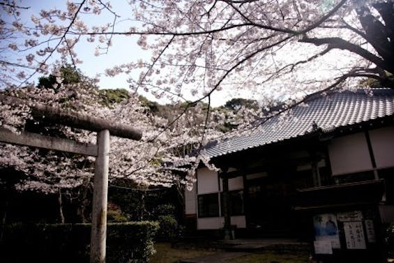 祥雲寺桜台墓苑