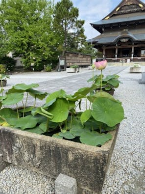 善光寺東海別院 本堂納骨堂