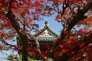 洞源院