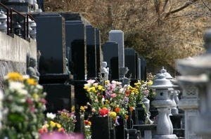 洞源院の画像