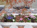 最勝院やすらぎ墓園 永代供養付き墓地・樹木葬 花壇型樹木葬