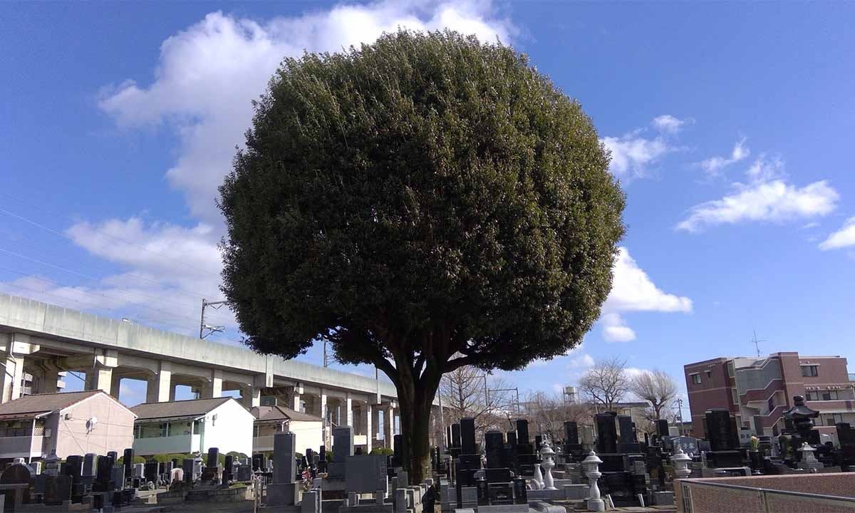 保寿寺墓苑 永代供養付き墓地・樹木葬