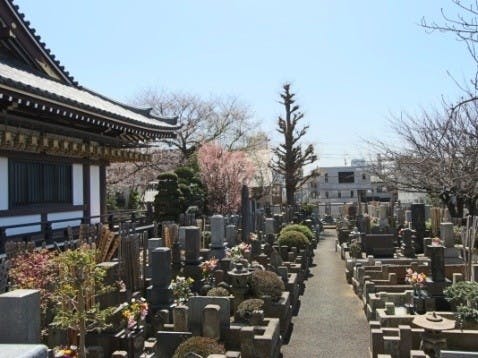 実相院墓苑