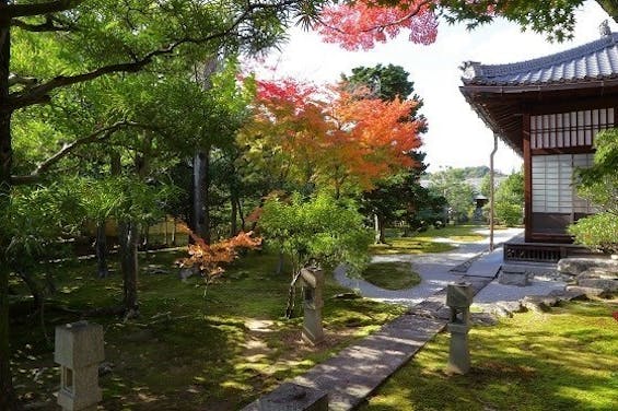 妙心寺隣華院 永代供養墓 「佛心塔」