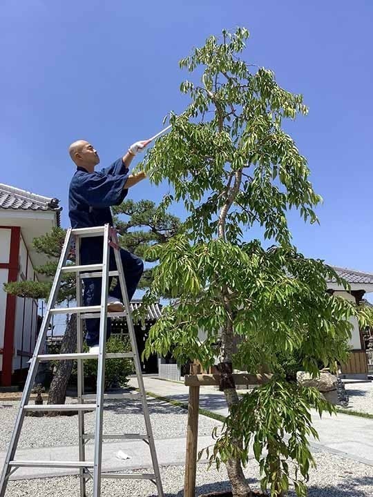 大和まほろば霊園 永代供養墓・樹木葬・納骨堂