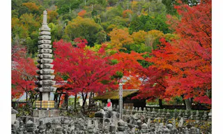 あだし野念仏寺