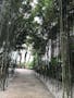 与那原洪済寺境内霊園 竹林